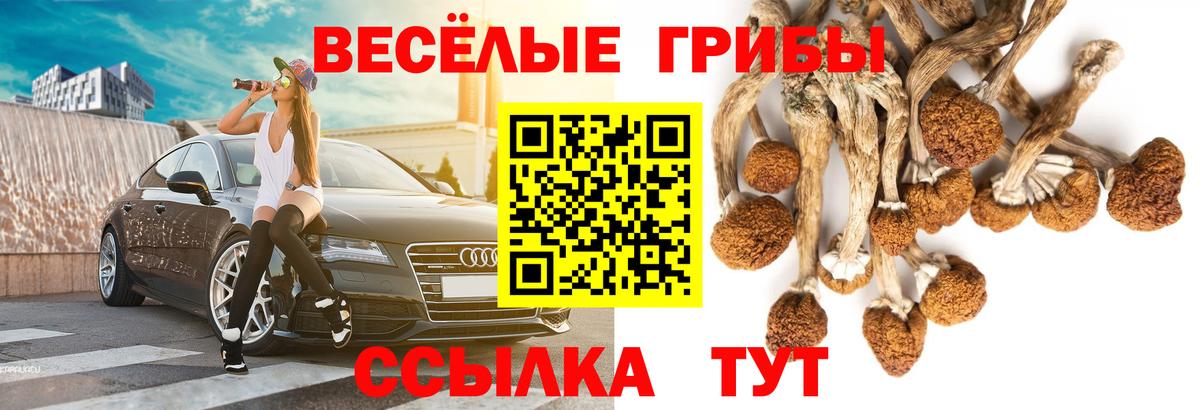 Углич  Галлюциногенные грибы Cubensis  Вход с VPN 