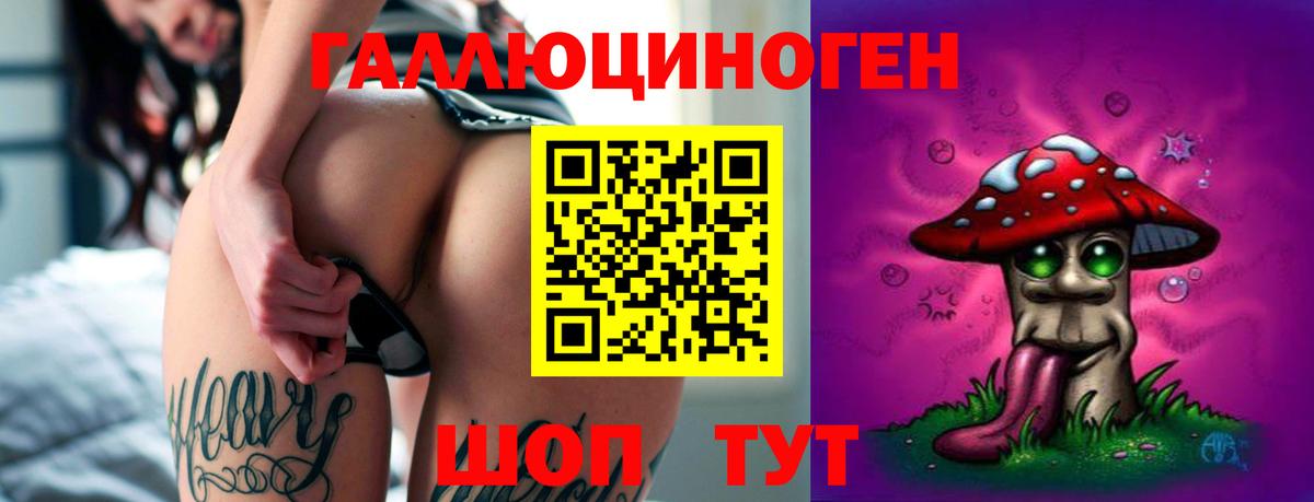 Псилоцибиновые грибы Psilocybine cubensis Углич